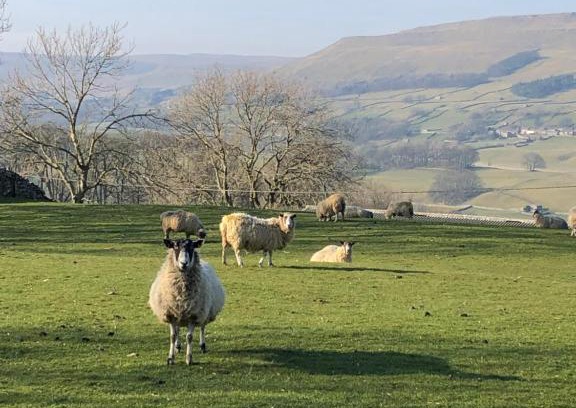 Burtersett House | Delightful Quarry Cottage in the Yorkshire Dales - Guest Rated 9/10
