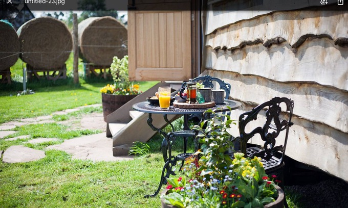 Much Birch Cabin | Queen Bee Cabin with Breathtaking Ocean Views & Breakfast