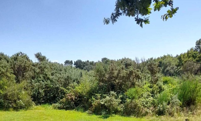 Sulniac Ski Chalet | Quiet chalet near the Gulf of Morbihan