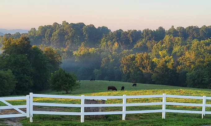 Edmonton Other | Idyllic Farm Stay: Hike, Relax & Explore Nature