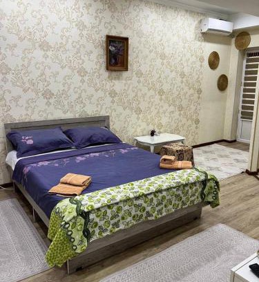 Bishkek Apartment | Peaceful Studio Retreat for Your Next Getaway
