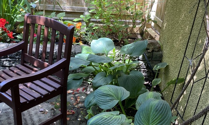 Grandview-Woodland Apartment | Serene Getaway Near Trendy Commercial Drive with Pool & Spa