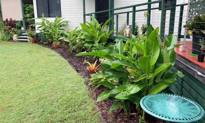 Cooloola Cove Cottage | Quiet Rural Retreat close to Tin Can Bay and Rainbow Beach