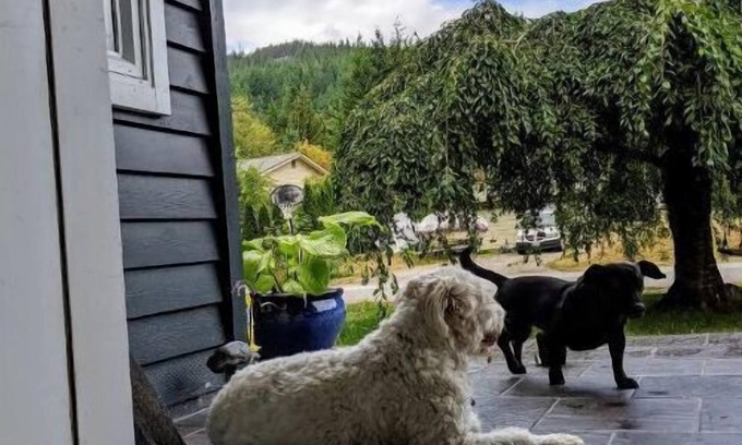 Squamish House | Tranquil Squamish Retreat with Hot Tub & Scenic Views