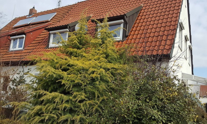 Buchenbuhl House | Tranquil Retreat Near Forest: Guest Rated 9.8 with Terrace