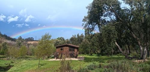 Coja House | Experience Quinta D' LuzArcoIris: Pet-Friendly Oceanfront Retreat