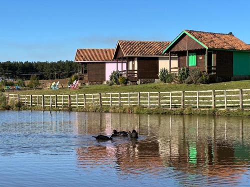 Cambara do Sul House | Exceptional Quinta da Soliran Pousada with Child-Friendly Amenities