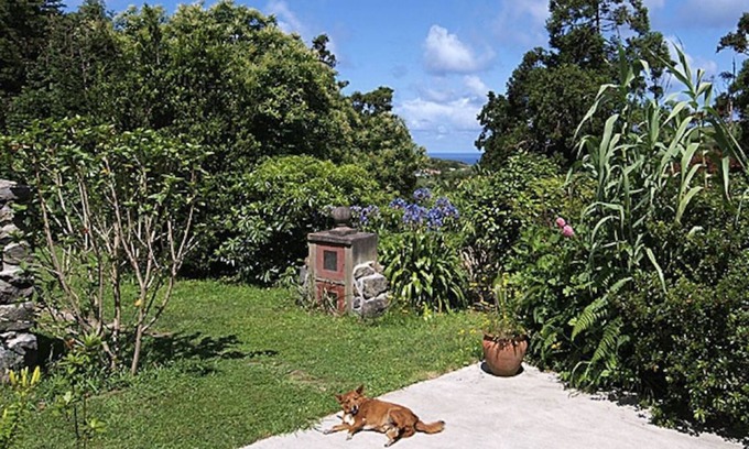 Ginetes Resort | Discover Quinta das Abelhas: Family-Friendly Stay with Kitchen