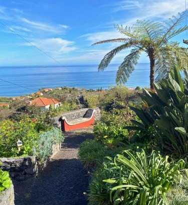 Arco de Sao Jorge House | Quinta das Hortênsias: Family-Friendly Retreat with High Ratings