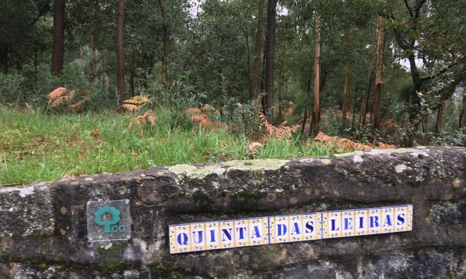 Santo Tirso House | Discover Quinta das Leiras: Guest Rated 9.5 & Family Pool