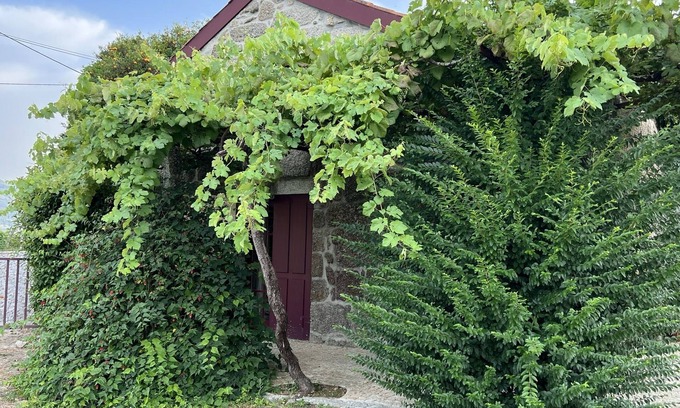 Amarante Villa | Discover Quinta de Locaia: Pet-Friendly Retreat with Ocean Views