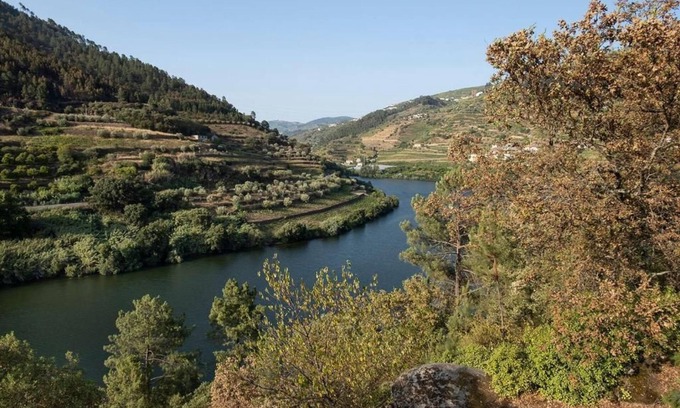 Carregal do Sal Apartment | Family-Friendly Getaway at Quinta de São Pedro 4