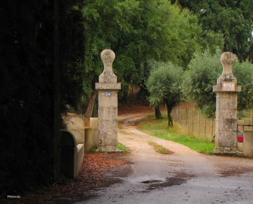 Nossa Senhora do Pranto House | Family-Friendly Quinta do Cerquito with 9.6/10 Guest Rating