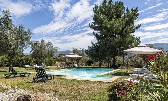 Travancinha House | Idyllic Quinta do Chão da Vinha: Pool, Spa & Family Stay