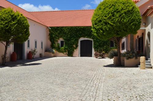 Triana House | Quinta do Covanco: Oceanfront Retreat with Pool & Pets Welcome