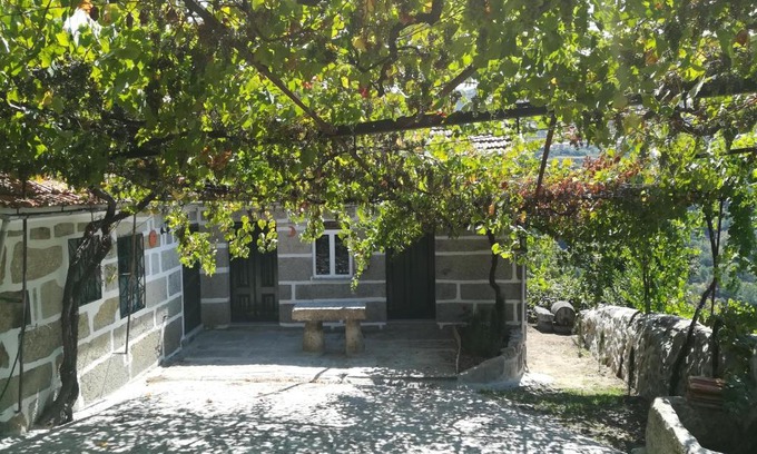 Cinfaes House | Pet-Friendly Quinta do Sol with Oceanfront Pool Access