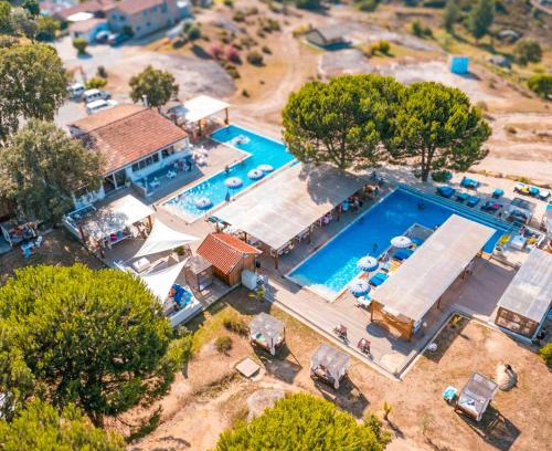 Tabua Bed & Breakfast | Pet-Friendly Quinta dos Corgos with Oceanfront Pool & Views