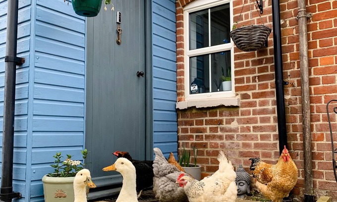 Rendlesham Cottage | Quirky Victorian Farm Cottage by Rendlesham Forest