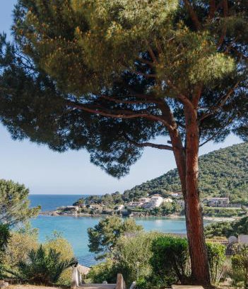 Tarcu Apartment | Pet-Friendly Oasis at Résidence le Télémaque with Ocean Views