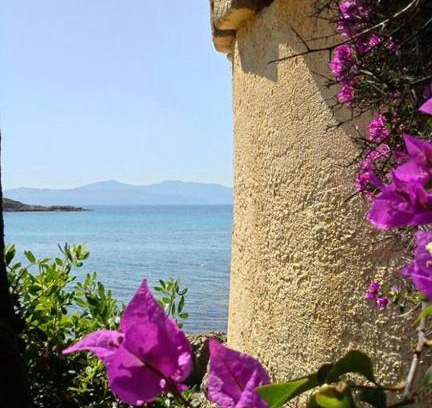 Cargese Apartment | Explore Résidence Les Mandiles: Oceanfront Pet-Friendly Stay