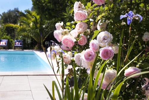 Olmeto Resort | Oceanfront Residence Ogliastrello with Pool & Pet Friendly