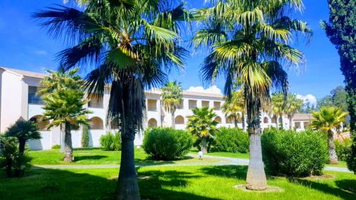 Bravone Apartment | Discover Résidence Sognu Di Mare - Oceanfront Retreat