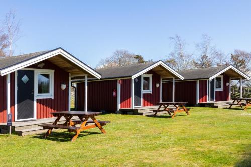 Himle House | Discover Rödlix Vandrarhem & Camping: Pet-Friendly Retreat
