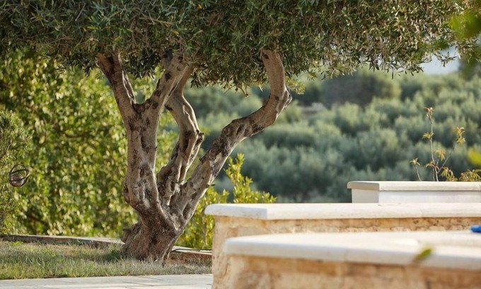 Malevizi Villa | R 854 Villa Large Private Infinity Pool ,Gym ,Vegetable Garden