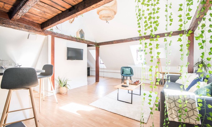 Krutenau Apartment | Cozy R-Apartments Strasbourg: Explore La Petite Cathédrale