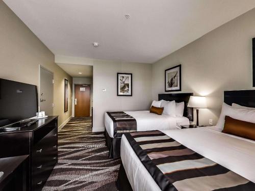 Leduc Hotel | Discover Radisson Hotel Edmonton Airport - Pet Friendly Haven