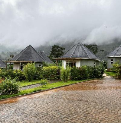 Bwindi Hotel | Cozy Rafiki Safari Lodge Bwindi: Pet-Friendly Retreat
