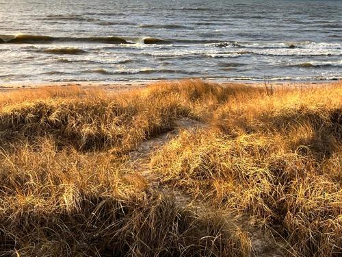 Jurmalciems Villa | Ragares - the greatest beach house near the Baltic sea