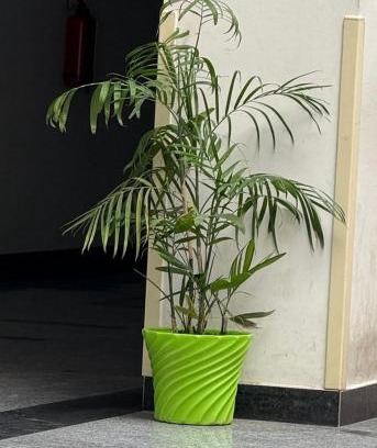 Haraiya House | Raghuvar Residency