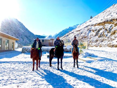 Chuy Province Bed & Breakfast | Experience RAHMAT Yurts: 4-Star Comfort with Family Amenities