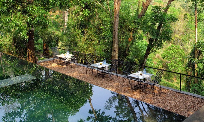 Perumbavoor Resort | Rainforest