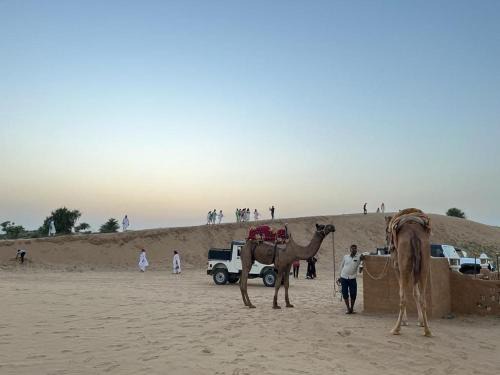 Nokha Other | Exciting Raju Shing Desert Safari with Family-Friendly Perks