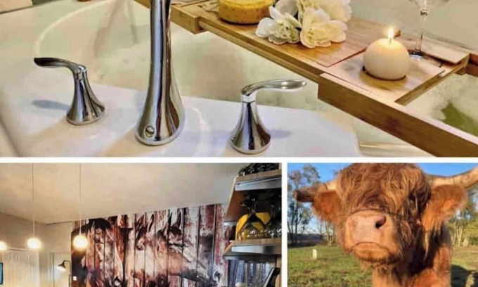 Selbyville House | Unforgettable Ranch Stay with Jacuzzi, Arcade & Ocean Views