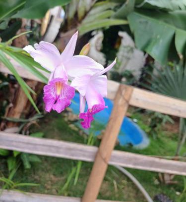 Aguas de Lindoia House | Discover Rancho Meu Ambiente: Family & Pet Friendly Retreat