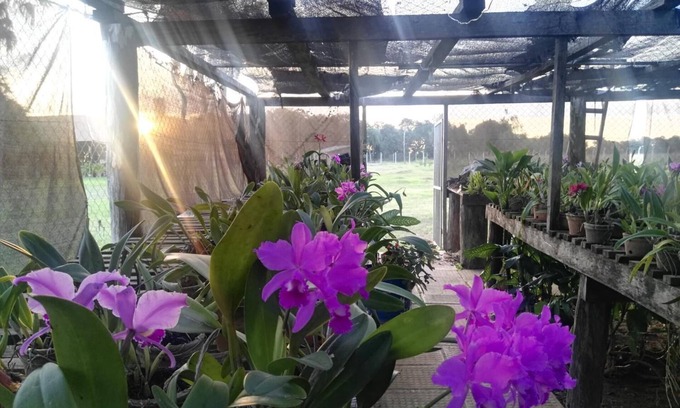 Arroyos y Esteros House | Budget-Friendly Stay at Rancho Seibert with Spa & Dining