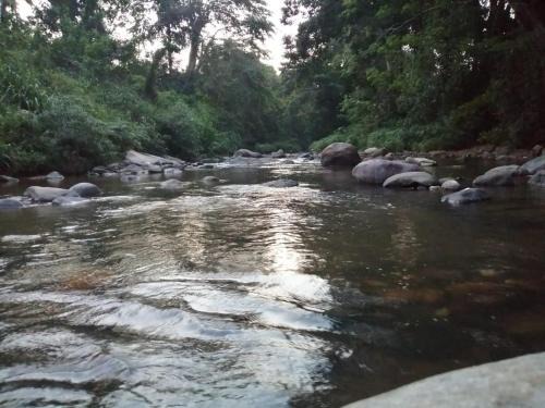 Wellawaya House | Book Your Stay at Randeniya Rest Inn - Family & Pet Friendly