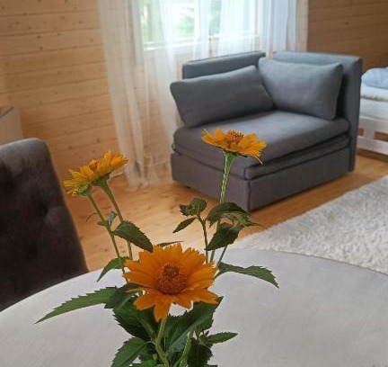 Hiiu House | Welcoming Rangipuhkemaja in Hiiumaa: Family-Friendly Retreat