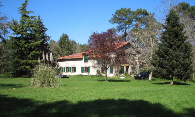 Sos Other | Discover the Rare Forest House with Private Lake Access