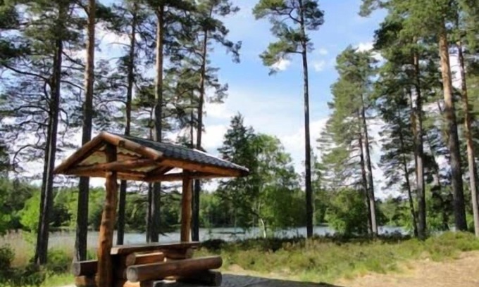 Eksjo Hotel | Rasta Eksjö: Family-Friendly Stay with Delicious Breakfast