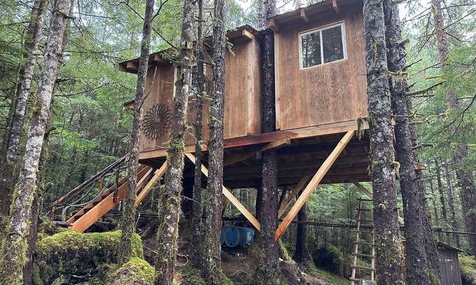 Thorne Bay Cabin | Raven's Nest Treehouse