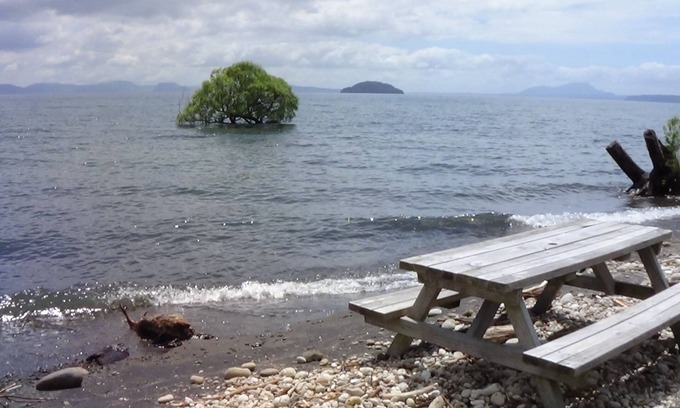 Te Rangiita House | Relax at Re-Cooper-ation: Swim, Fish & Recharge Today!