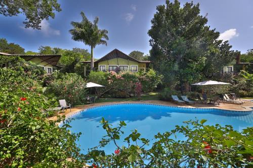 Pipa Hotel | Relax at Recanto da Mata Pipa with Oceanfront Views