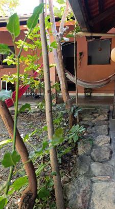 Cavalcante House | Recanto das Frutas