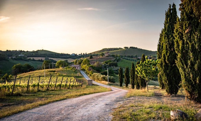Montalto delle Marche House | Recchi Franceschini Bike Hotel: Pet-Friendly Ocean Views