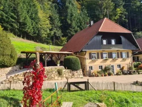 Fischerbach Apartment | Discover Rechenpeterhäusle: Pet-Friendly with a 9/10 Rating