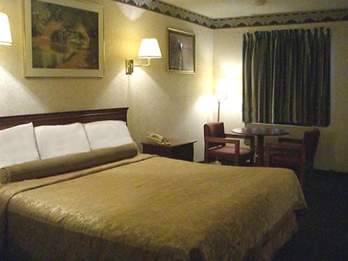 Williamstown Hotel | Budget-Friendly Stay at Red Carpet Inn Williamstown